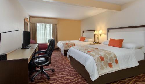 Queen Room with Two Queen Beds - Non-Smoking