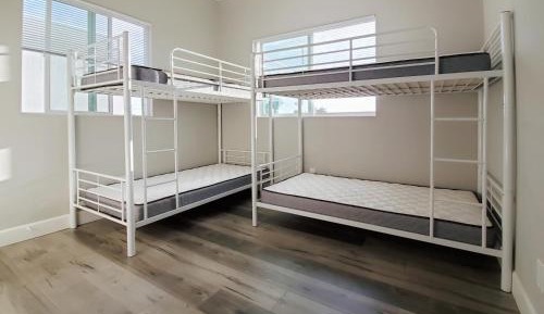 Bunk Bed in Mixed Dormitory Room