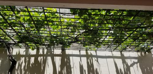 Double or Twin Room with Extra Bed