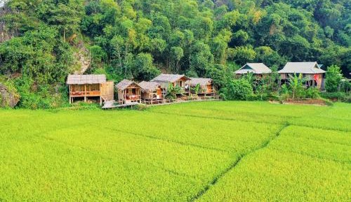 Single Bed in Mixed Dormitory Room