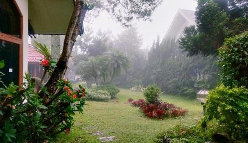 Villa with Garden View