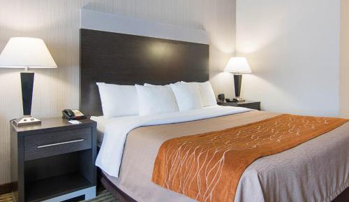 Standard King Room - Non-Smoking 