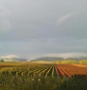 Apartment with Mountain View