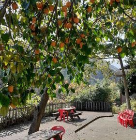 Family Room with Bathroom