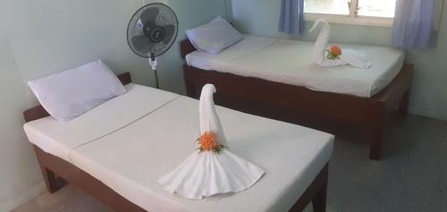 Budget Twin Room - Ground Floor