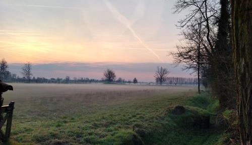 Double Room with Patio