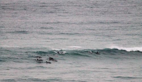 Two-Bedroom Apartment (Apartment 1)