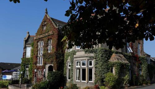 Superior King Room with Walk-In Shower