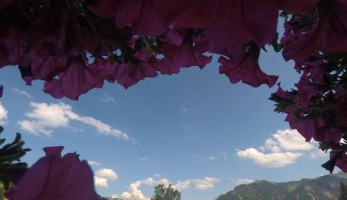 Family Room with Balcony