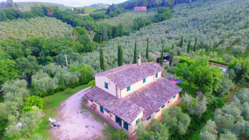 One-Bedroom Apartment (3 Adults)