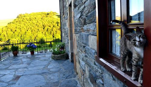 Apartment with Garden View