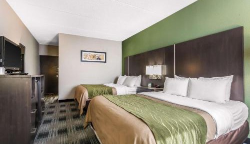 Queen Room with Two Queen Beds - Non-Smoking