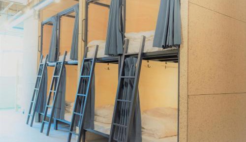 Bunk Bed in Mixed Dormitory Room