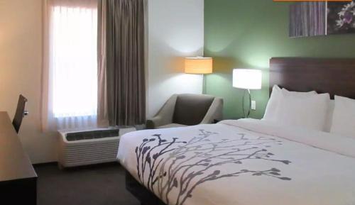 King Room - Non-Smoking