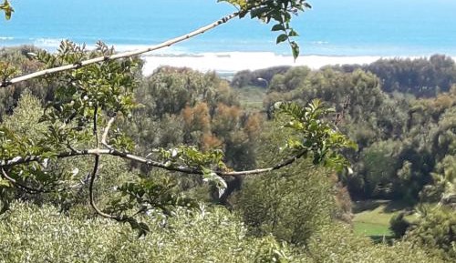 Superior Suite with Sea View