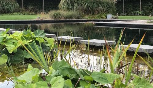 Holiday Home with Swimming Pool Access