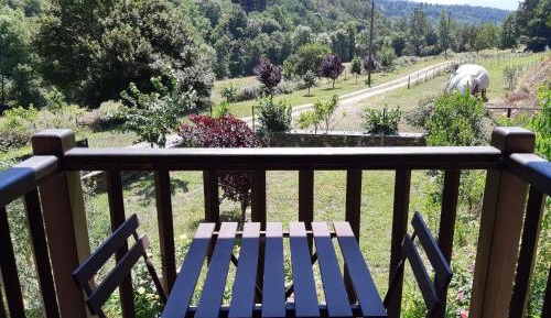 Standard Twin Room with Garden View