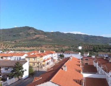 One Bedroom Apartment