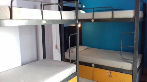 Bed in 6-Bed Female Dormitory Room