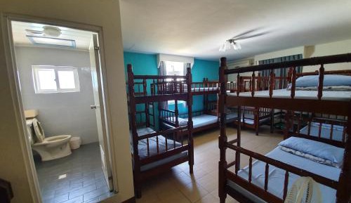 10-Bed Mixed Dormitory Room