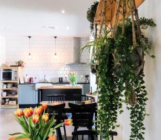 Deluxe Double Room with Shower