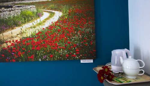 Deluxe Double Room with Shower