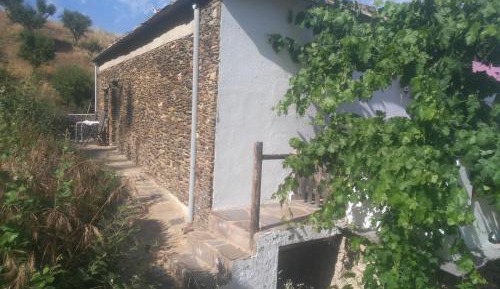 Triple Room with Terrace