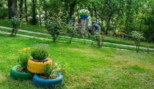 One-Bedroom Bungalow
