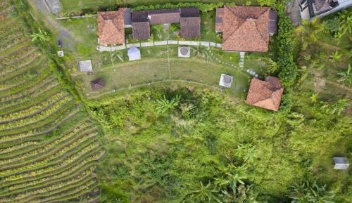 Bungalow with Garden View