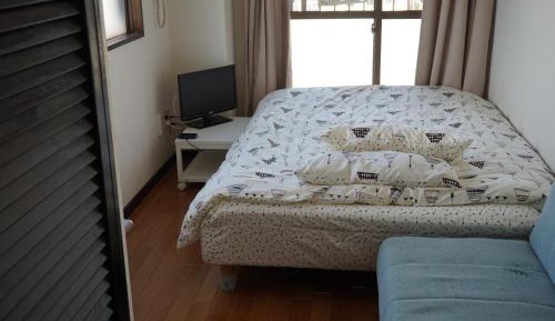 Studio Apartment with Balcony 701