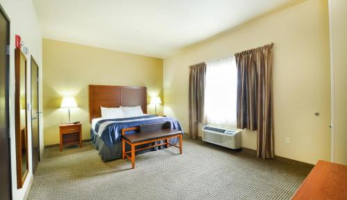 Suite - Disability Access/Non-Smoking