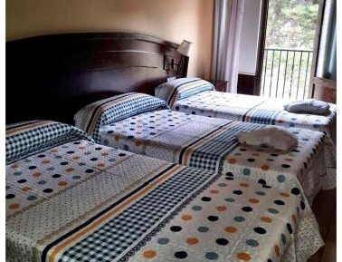 Triple Room (2 Adults + 1 Child)