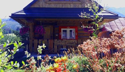 Family Two-Bedroom Apartment