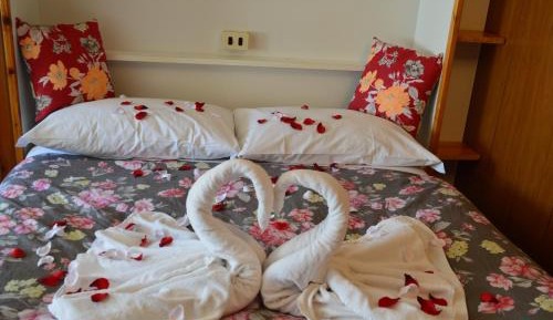 Standard Studio (4 Adults)