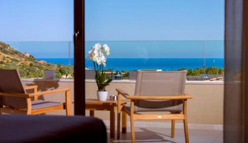 Superior Deluxe Double or Twin Room 