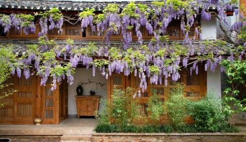Superior Family Room with Terrace