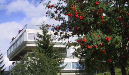 Apartment with Terrace