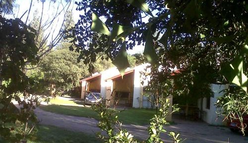 Apartment - Split Level