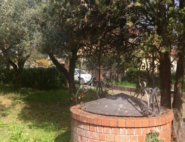 Villa with Garden View