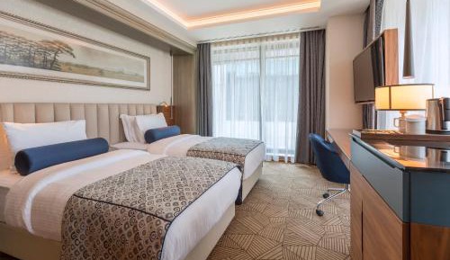 Superior Queen Room with City View