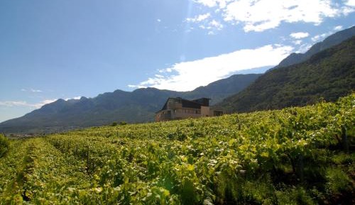 One-Bedroom Apartment with Balcony