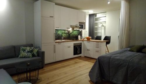 Studio Apartment
