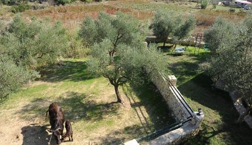 Two-Bedroom Standard Apartment