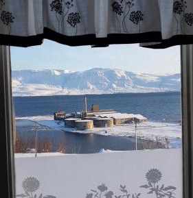 Deluxe Double Room (2 Adults + 1 Child)