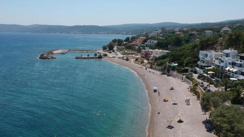 One-Bedroom Family Apartment