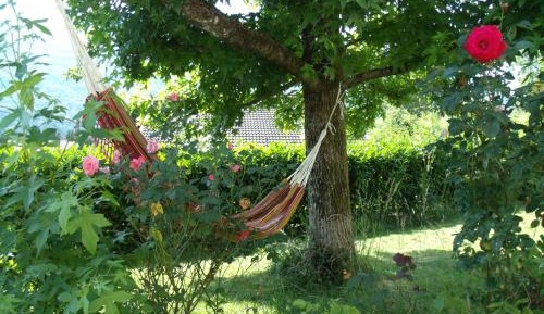 Apartment with Garden View