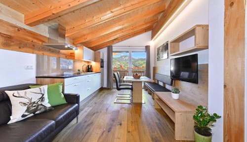 Apartment with Mountain View