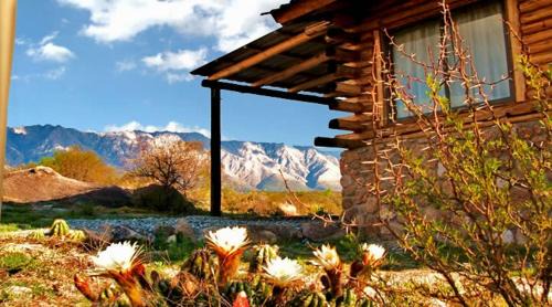 Cottage with Garden View