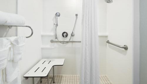 Suite - Mobility Access Roll in Shower/Non-Smoking