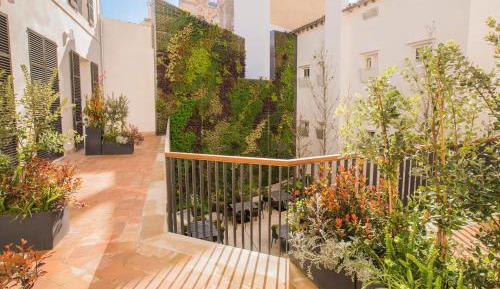 Double Room with Terrace